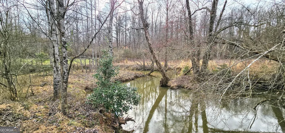 0 Gladston DR Mount Airy, GA 30563