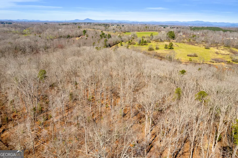 0 Gladston DR Mount Airy, GA 30563
