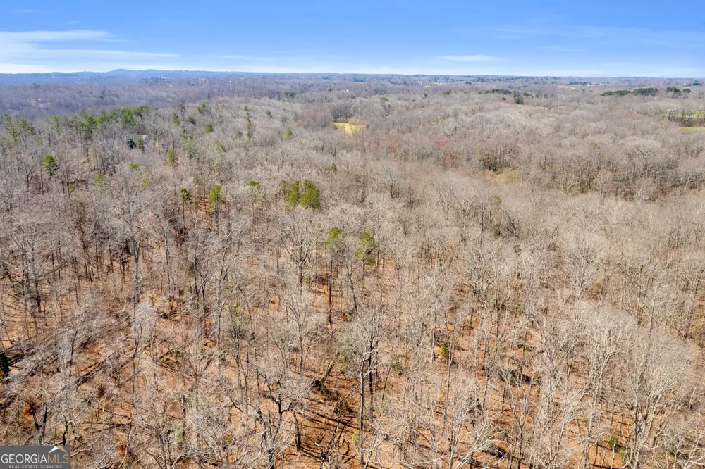 0 Gladston DR Mount Airy, GA 30563