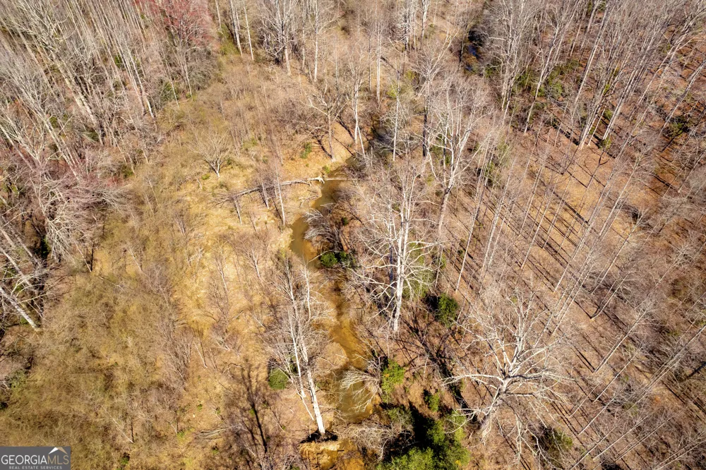 0 Gladston DR Mount Airy, GA 30563