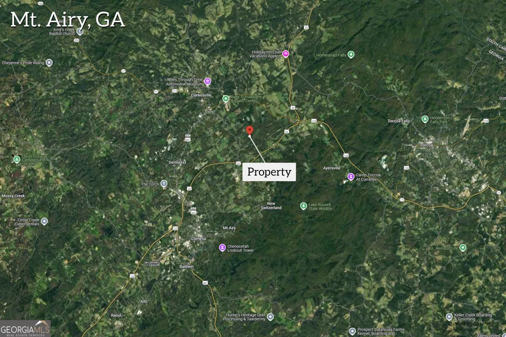 0 Gladston DR Mount Airy, GA 30563