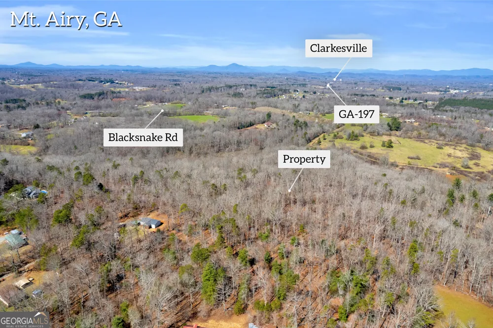 0 Gladston DR Mount Airy, GA 30563