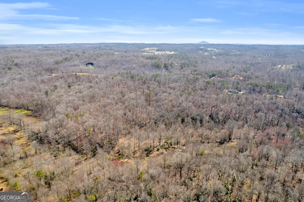 0 Gladston DR Mount Airy, GA 30563