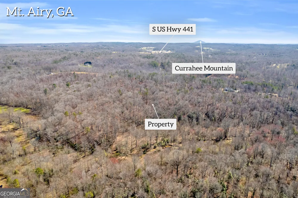 0 Gladston DR Mount Airy, GA 30563