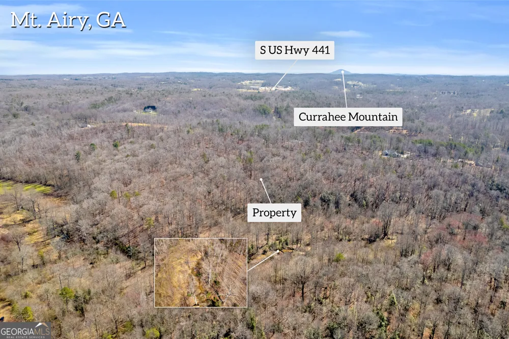 0 Gladston DR Mount Airy, GA 30563