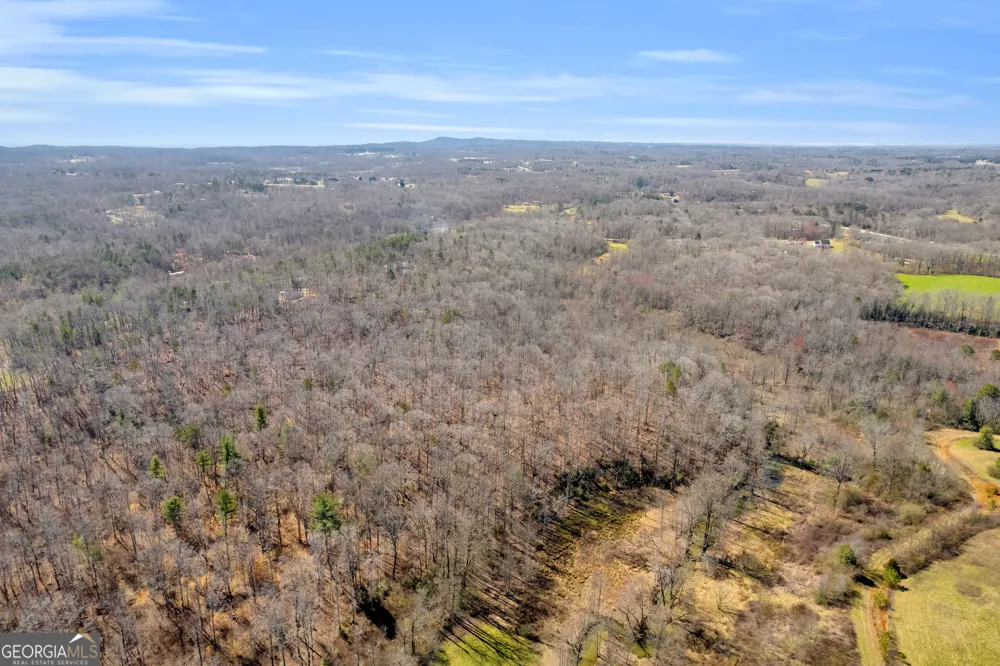 0 Gladston DR Mount Airy, GA 30563