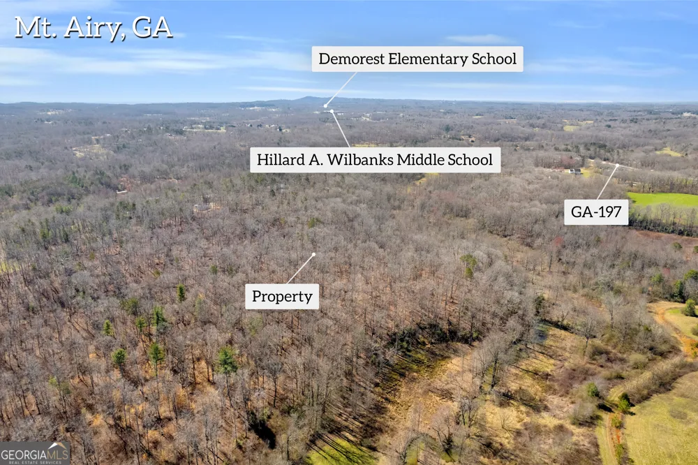 0 Gladston DR Mount Airy, GA 30563