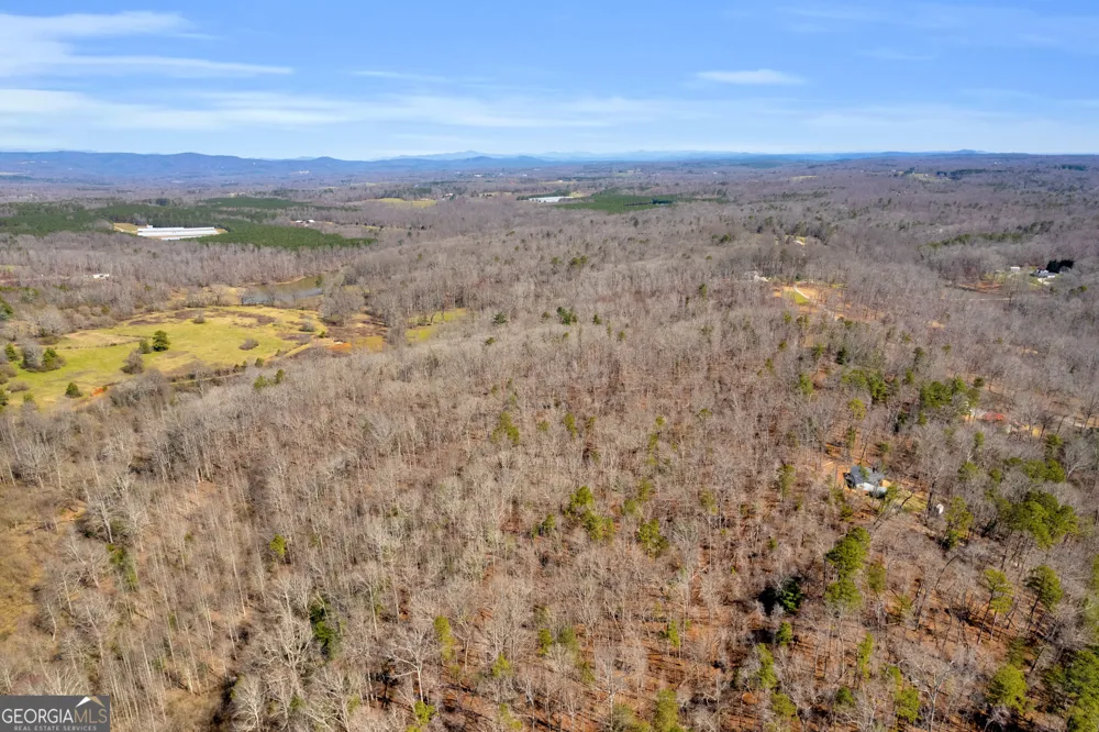 0 Gladston DR Mount Airy, GA 30563