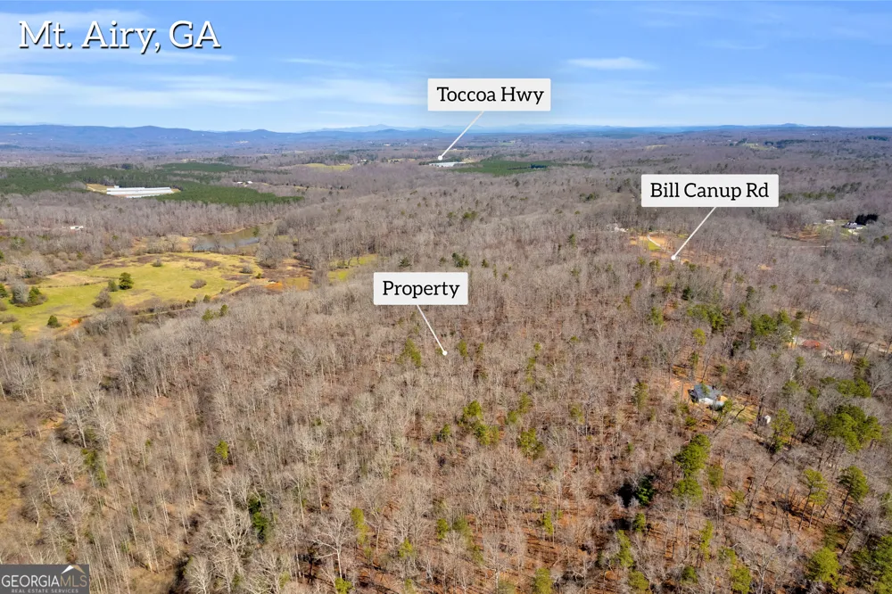 0 Gladston DR Mount Airy, GA 30563
