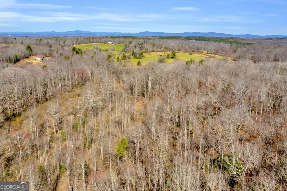 0 Gladston DR Mount Airy, GA 30563