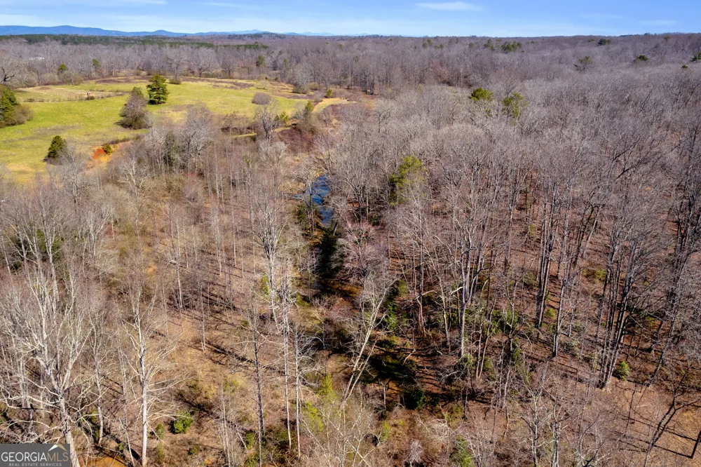 0 Gladston DR Mount Airy, GA 30563