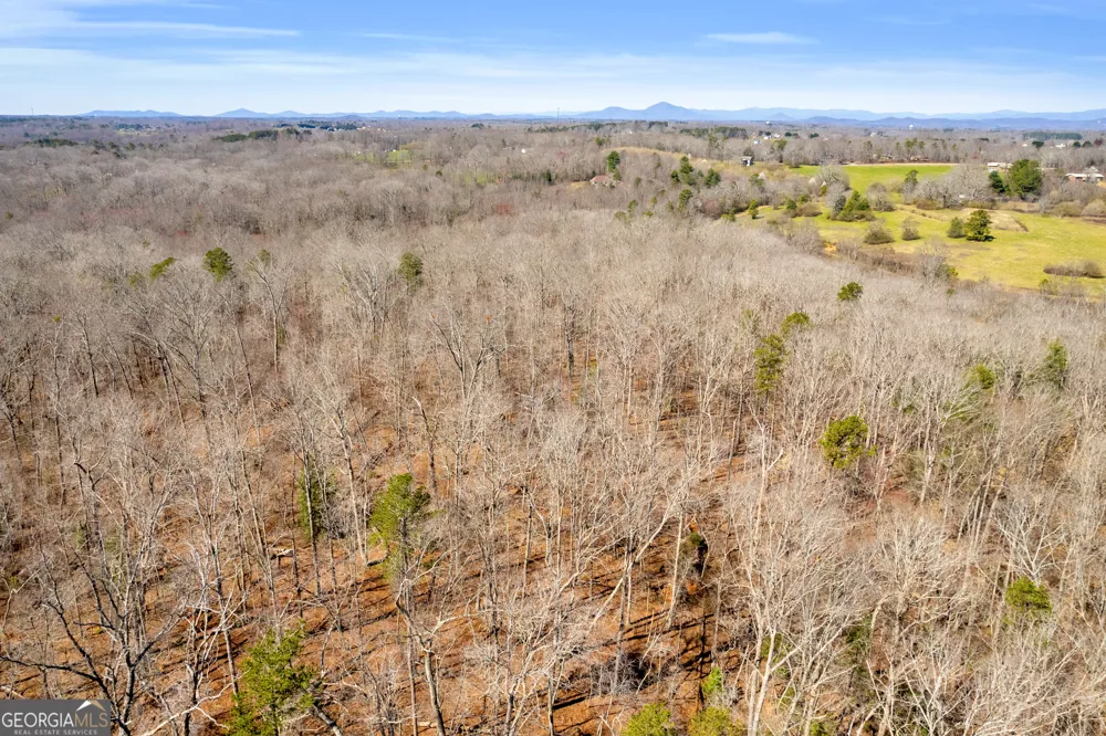 0 Gladston DR Mount Airy, GA 30563