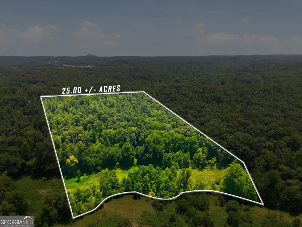 0 Gladston DR Mount Airy, GA 30563