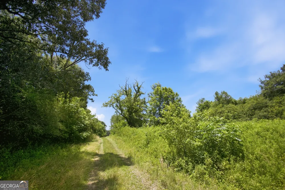 0 Gladston DR Mount Airy, GA 30563