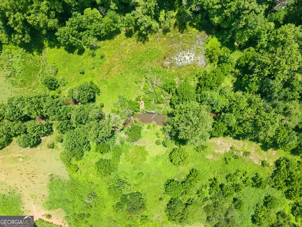 0 Gladston DR Mount Airy, GA 30563