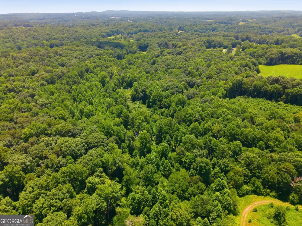 0 Gladston DR Mount Airy, GA 30563