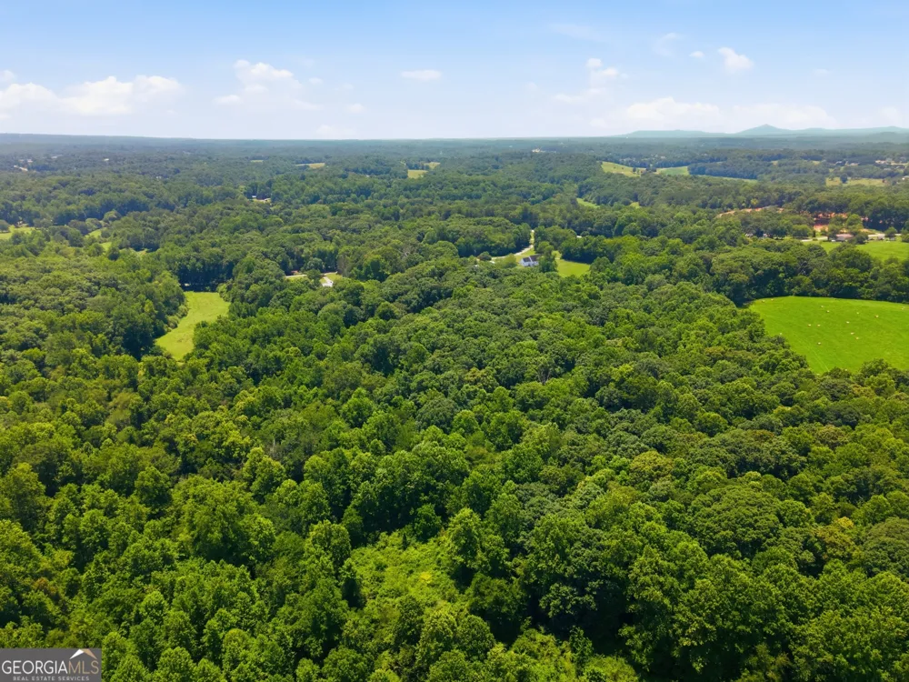 0 Gladston DR Mount Airy, GA 30563