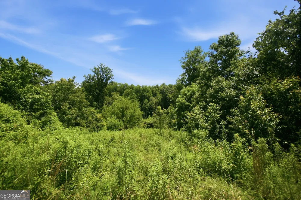 0 Gladston DR Mount Airy, GA 30563