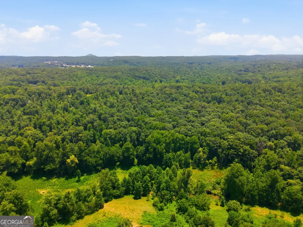 0 Gladston DR Mount Airy, GA 30563