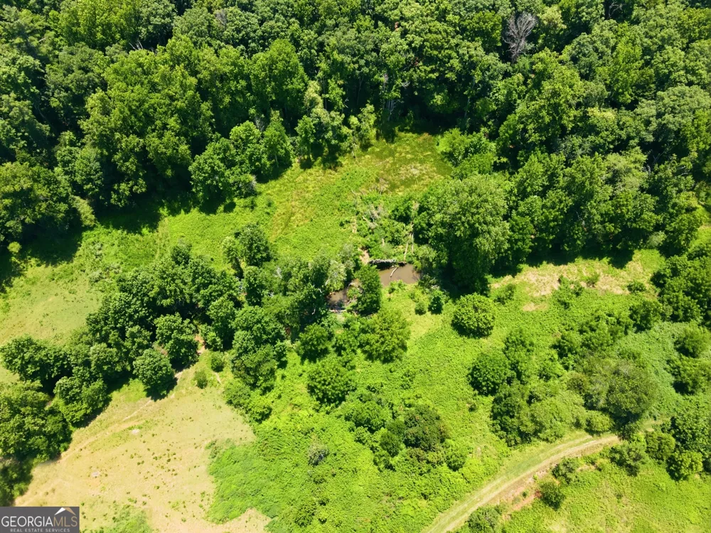 0 Gladston DR Mount Airy, GA 30563
