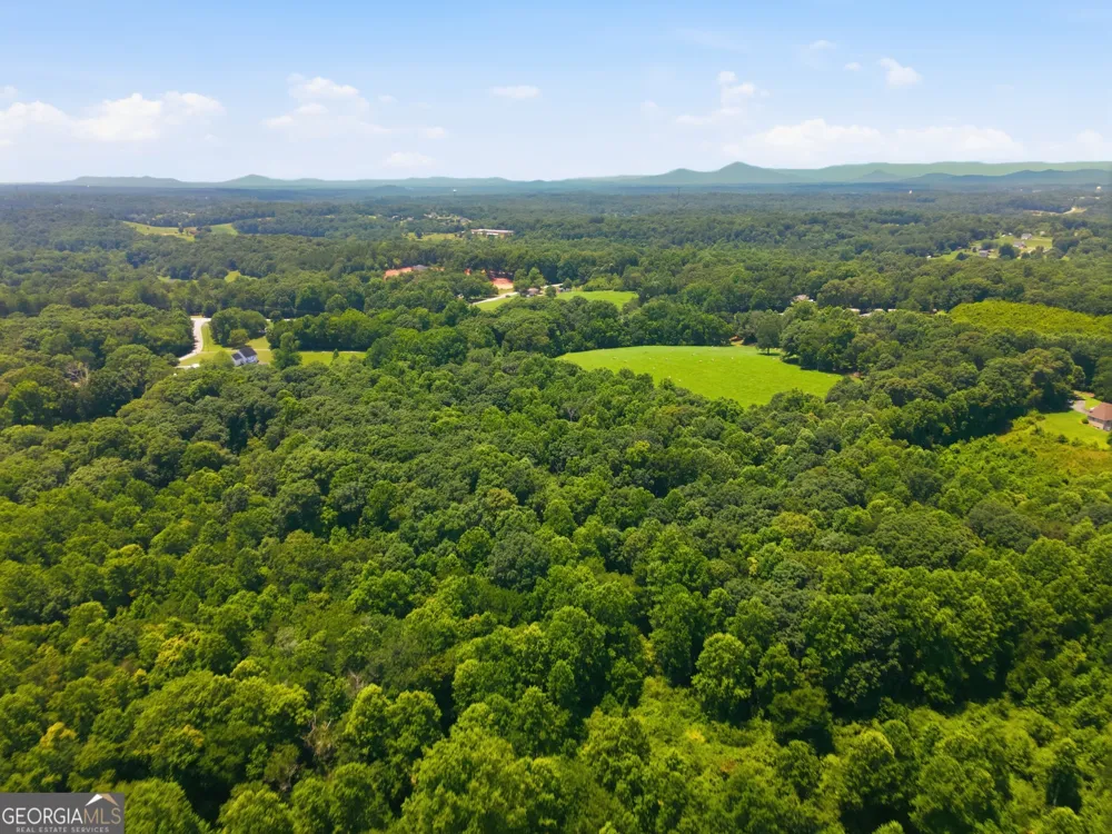 0 Gladston DR Mount Airy, GA 30563