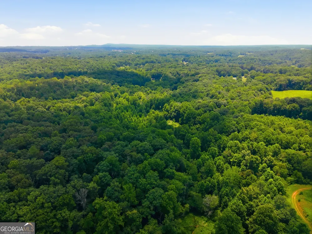 0 Gladston DR Mount Airy, GA 30563