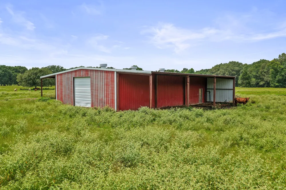2199 County Rd 3150 Cookville, TX 75558