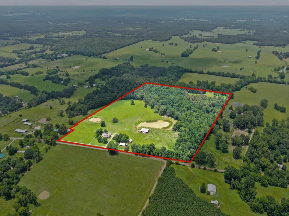 2199 County Rd 3150 Cookville, TX 75558