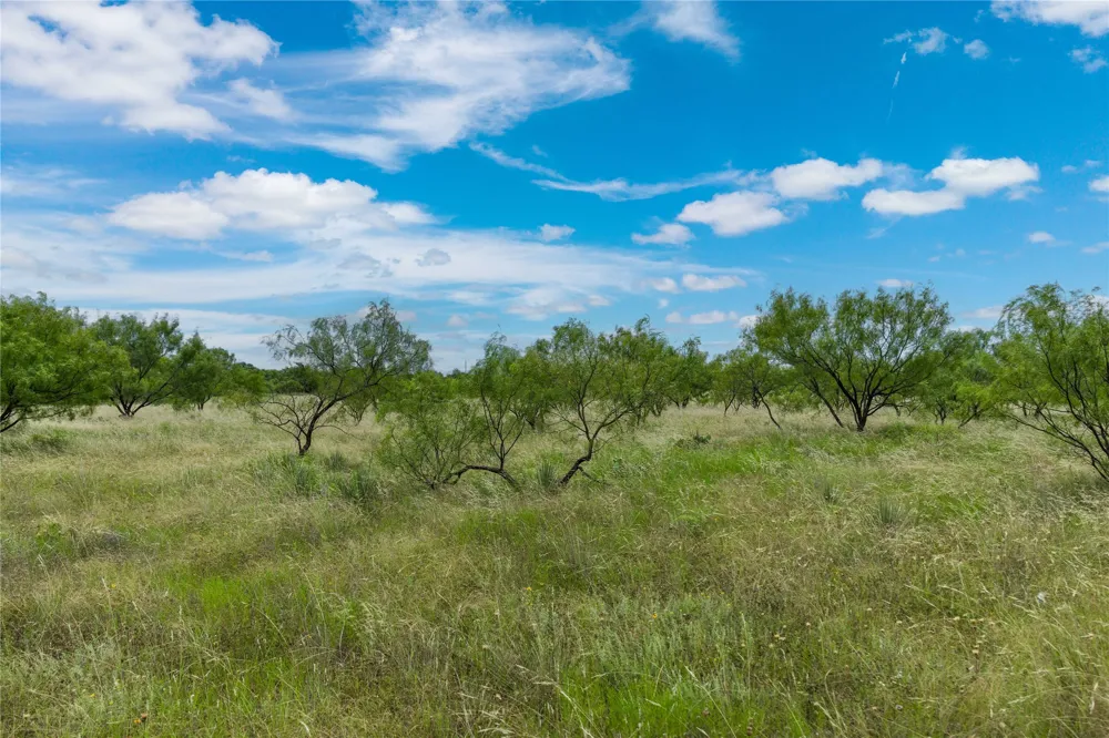 6000 Fm 586 S Bangs, TX 76823