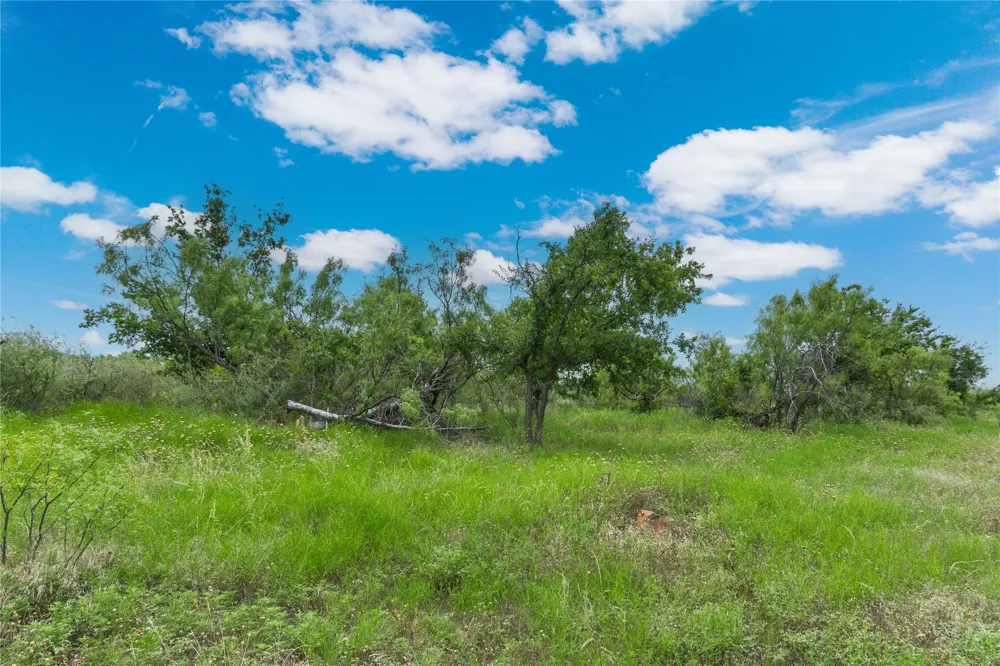 6000 Fm 586 S Bangs, TX 76823