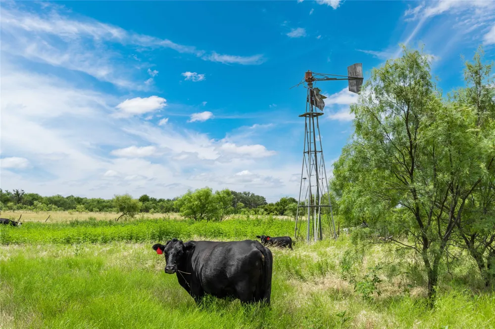 6000 Fm 586 S Bangs, TX 76823