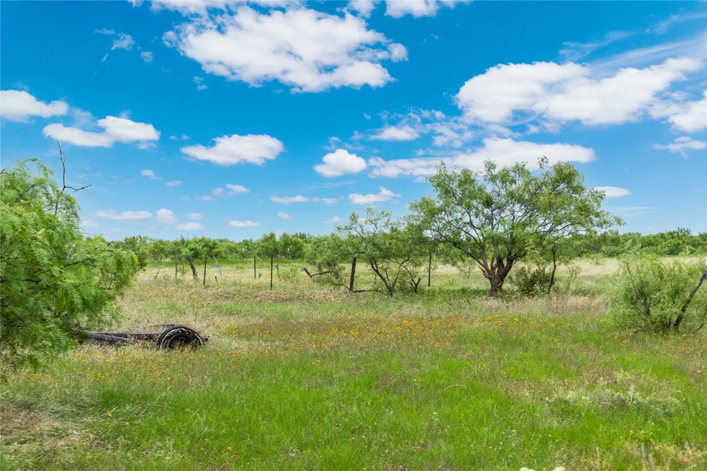 6000 Fm 586 S Bangs, TX 76823
