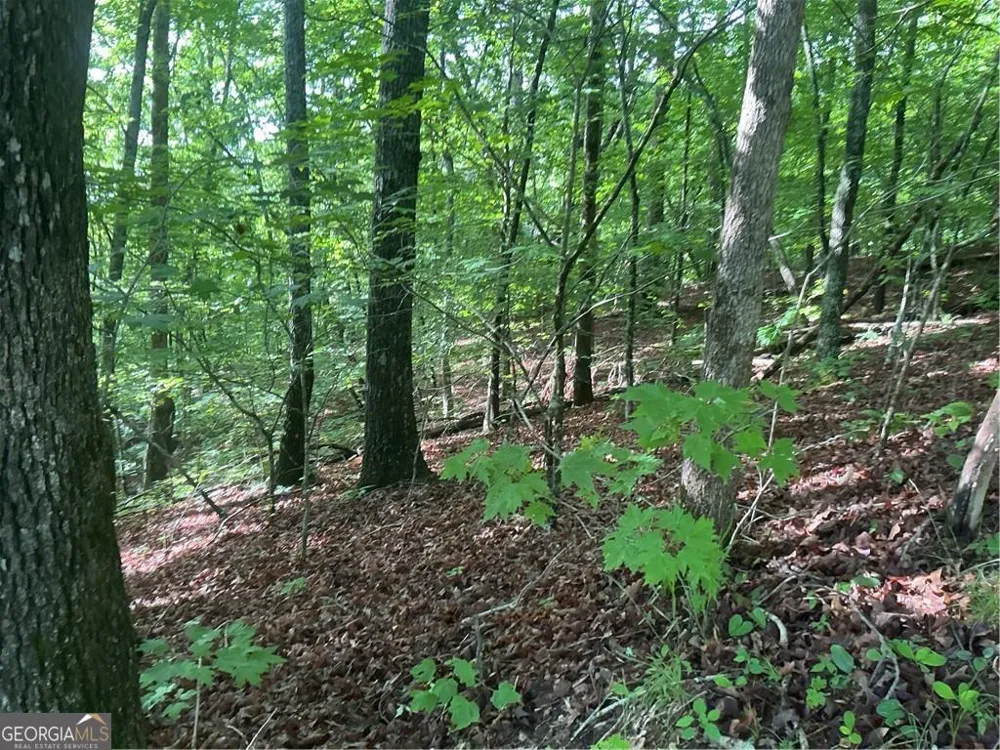 0 Mountain Brook RD Dawsonville, GA 30534