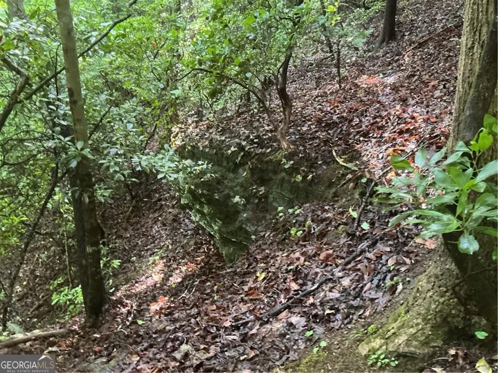 0 Mountain Brook RD Dawsonville, GA 30534