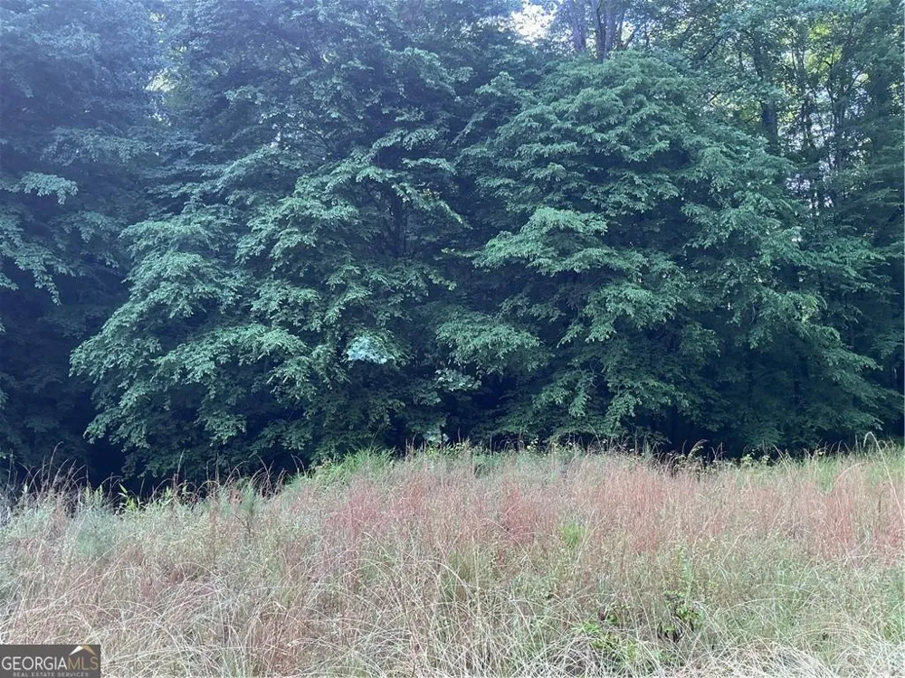 0 Mountain Brook RD Dawsonville, GA 30534