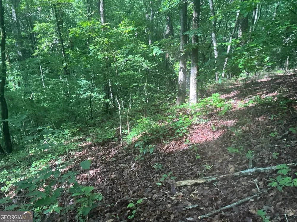 0 Mountain Brook RD Dawsonville, GA 30534