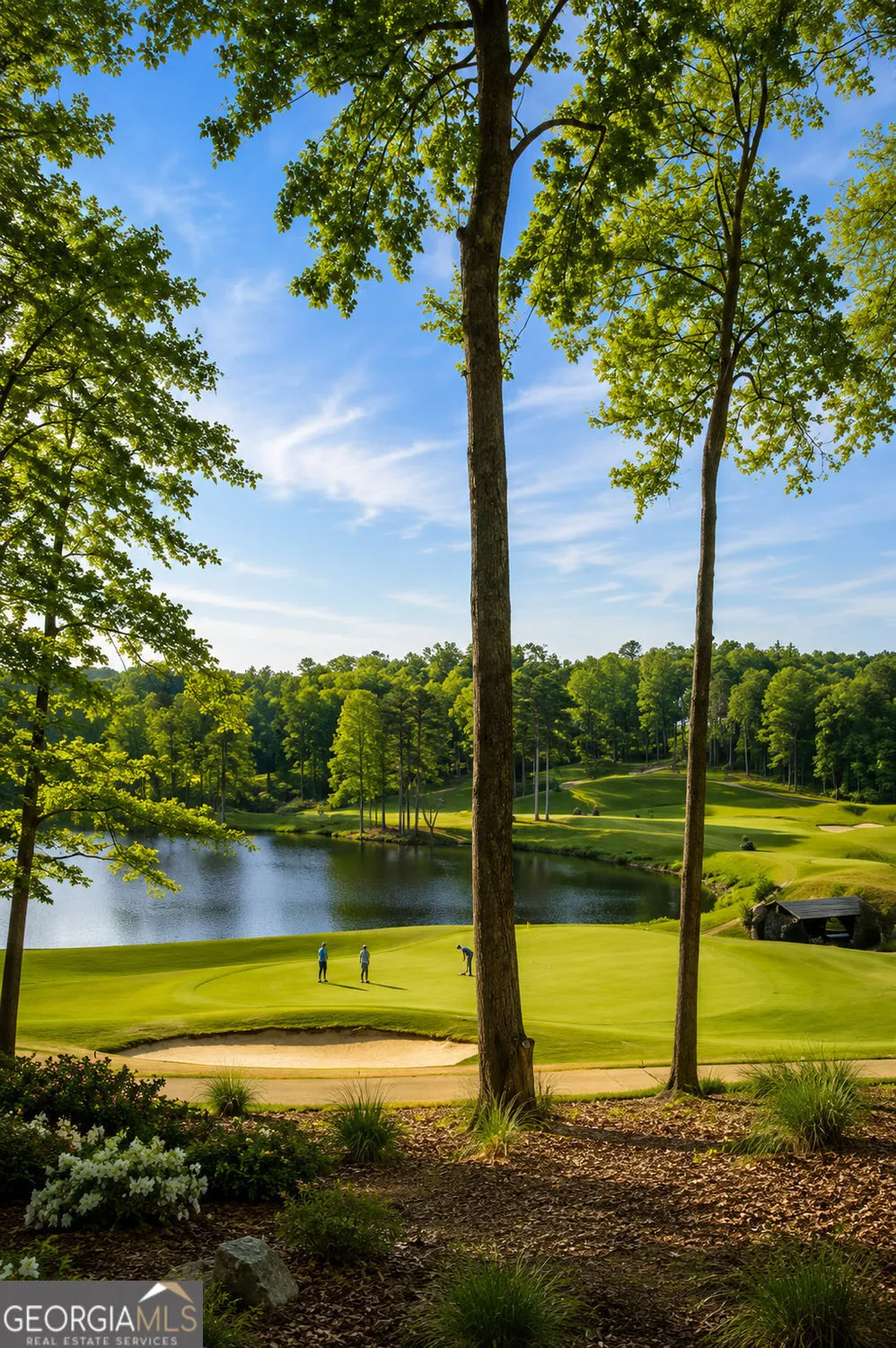 293 Traditions DR Alpharetta, GA 30004
