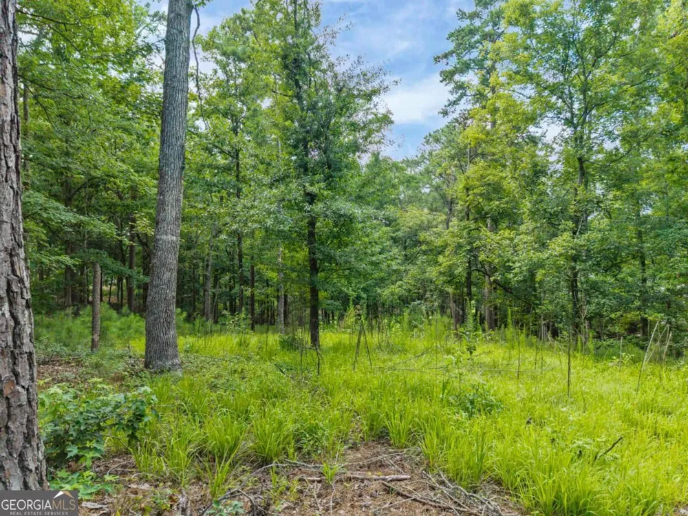 1091 Hardwood HOLW Greensboro, GA 30642