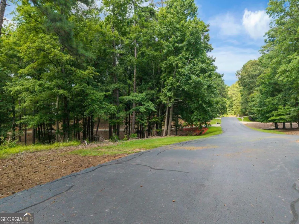 1091 Hardwood HOLW Greensboro, GA 30642
