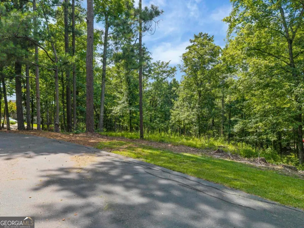 1091 Hardwood HOLW Greensboro, GA 30642