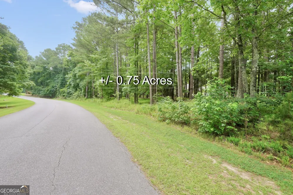 1060 Fairway Ridge RD Greensboro, GA 30642
