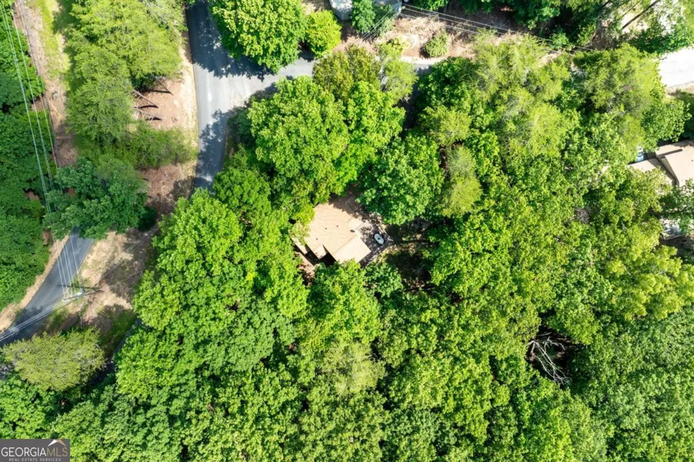 102 Jack Pine CT Waleska, GA 30183