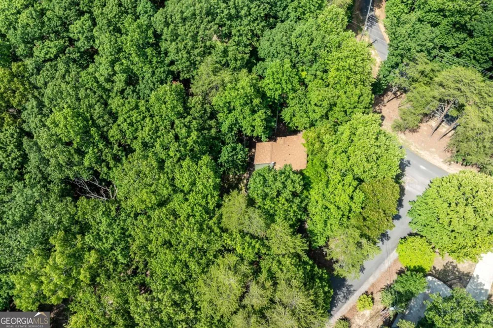 102 Jack Pine CT Waleska, GA 30183