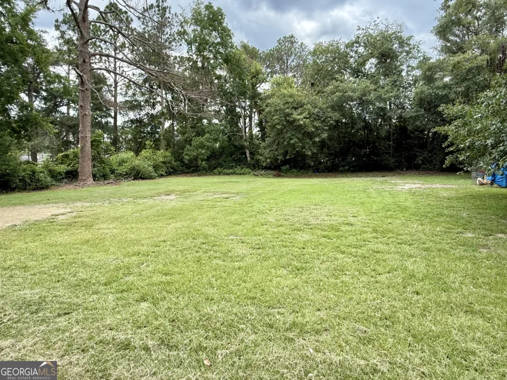 1511 S Cheney DR Vidalia, GA 30474