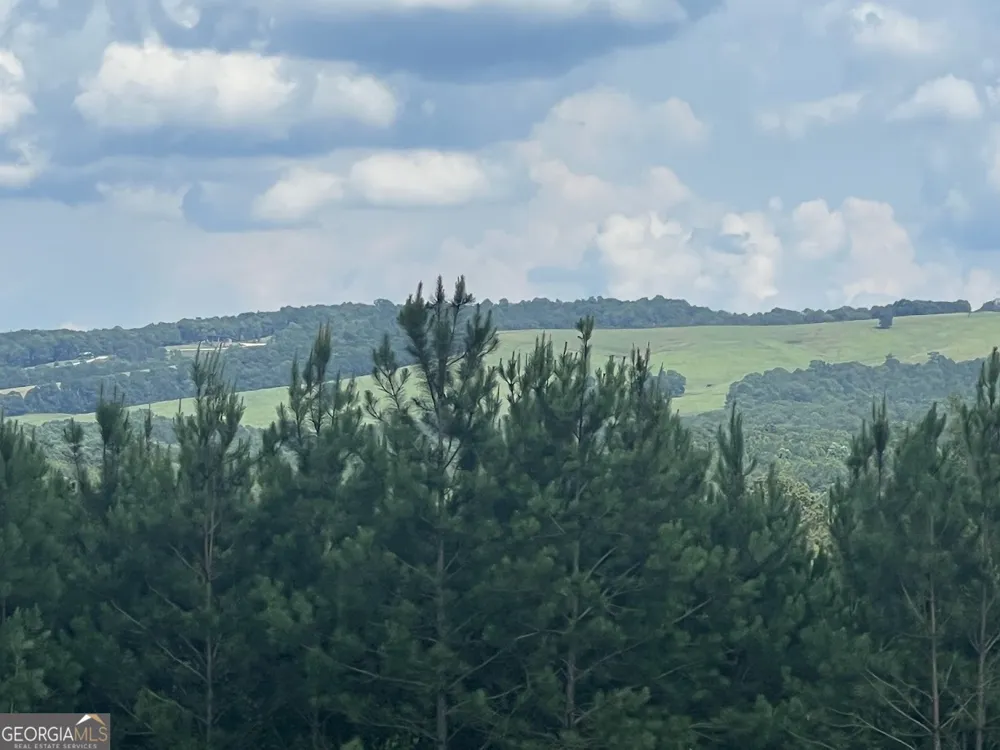 600 Reynolds RD Woodbury, GA 30293
