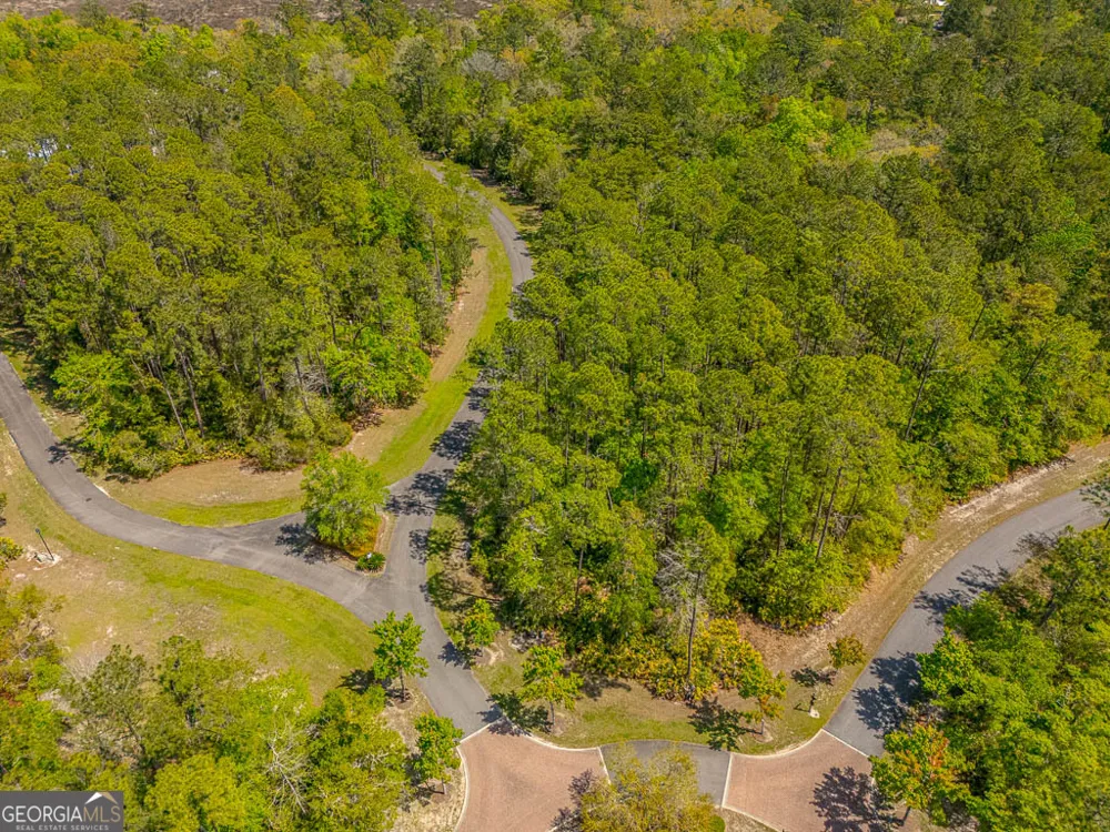 LOT 2 C River Place DR Waverly, GA 31565