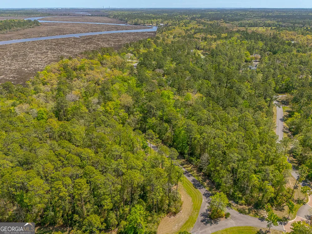 LOT 2 C River Place DR Waverly, GA 31565