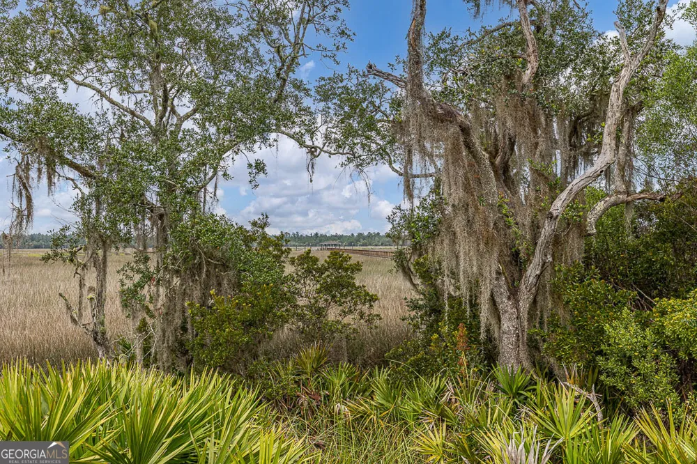 LOT 2 C River Place DR Waverly, GA 31565