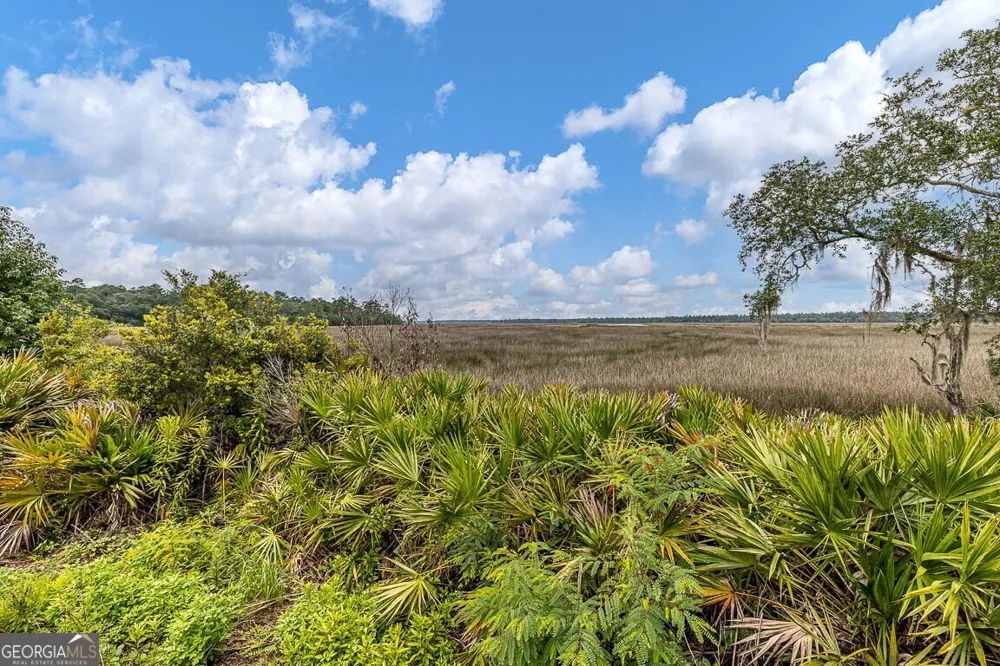 LOT 2 C River Place DR Waverly, GA 31565