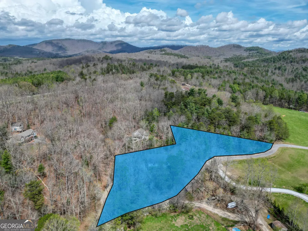339 Henderson RD Young Harris, GA 30582